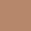 Complexion Stick - 1 Darker Shade [Discount]