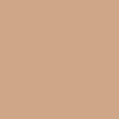 Complexion Stick - 1 Darker Shade [Discount]