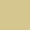 Complexion Stick - 1 Darker Shade [Discount]