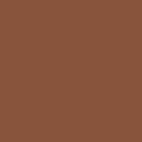 Complexion Stick