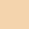 Complexion Stick